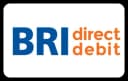 Bri Direct Debit